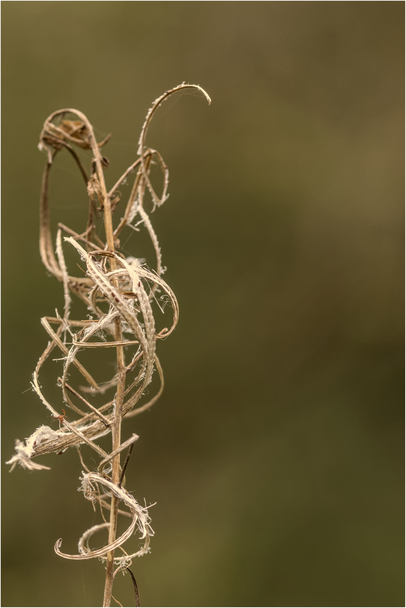 Gravel inspection in progress