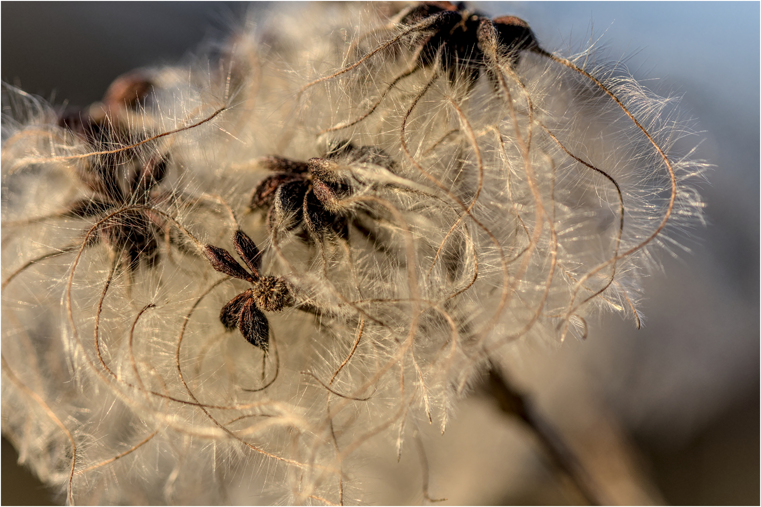 Some more fluffy stuff