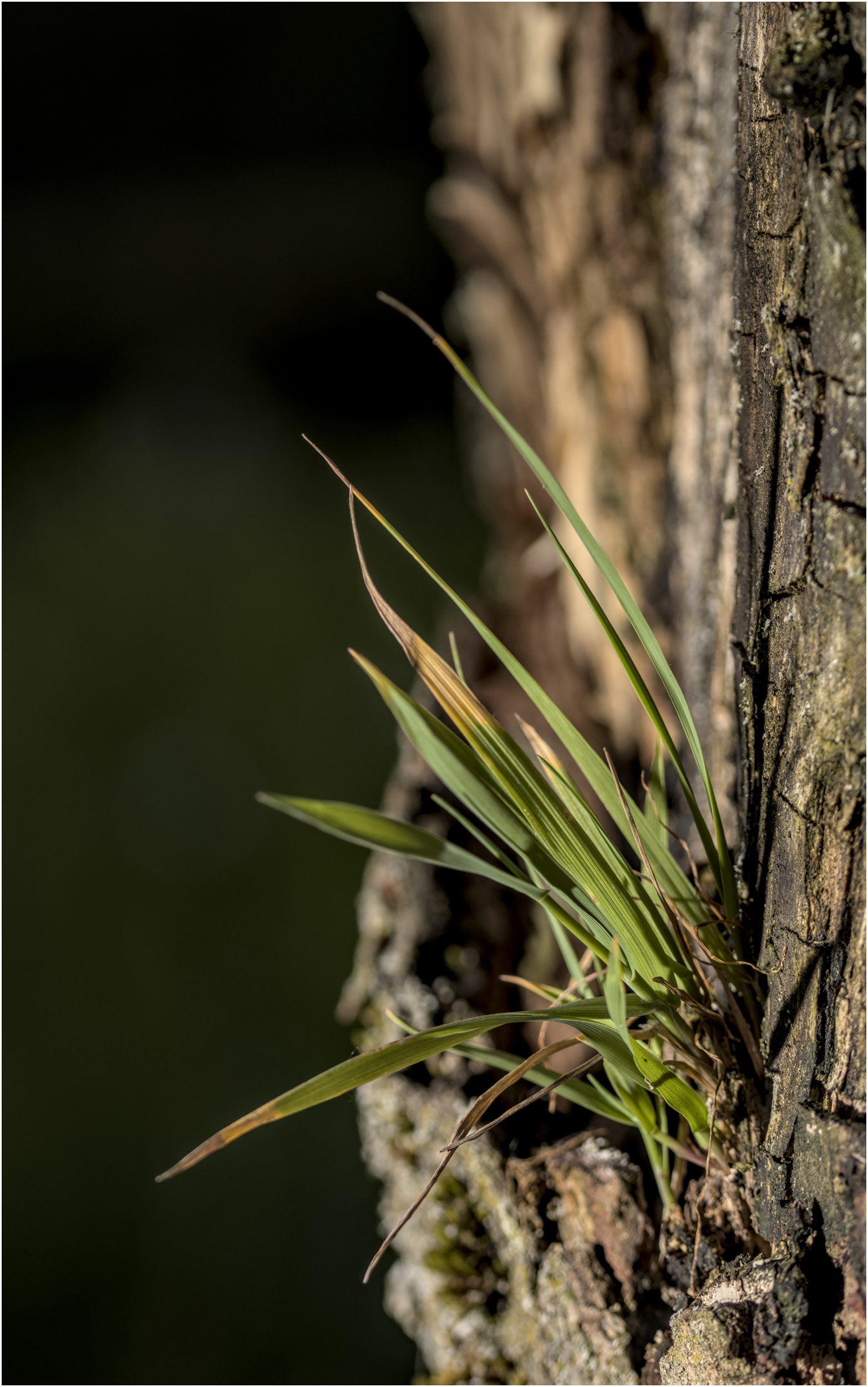 You've got grass on you...